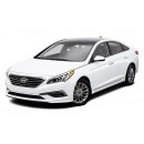 Sonata (2019-2020)